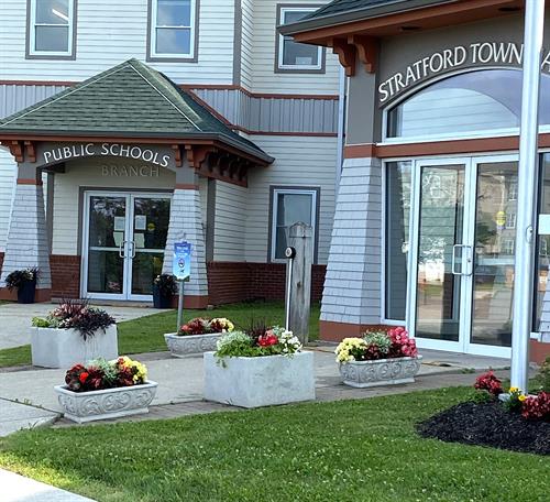 Commercial Planters and Pots
