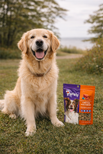 Gallery Image image.png