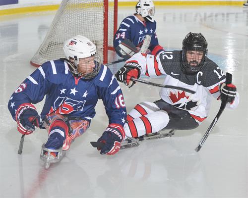 World Sledge in action at MacLauchlan Arena