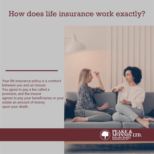 How Does Life Insurance Work