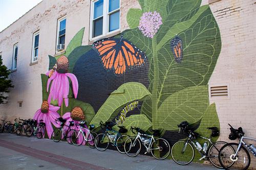 Butterfly Mural on the corner of Willson Ave & 2nd Street