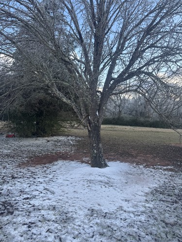 Gallery Image ice.jpeg