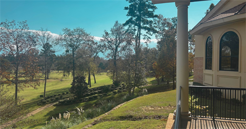 Patio View 