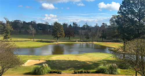 Patio View 