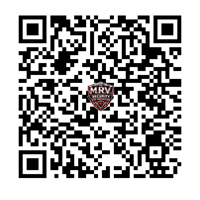 M.R.V. Asset Protection LLC