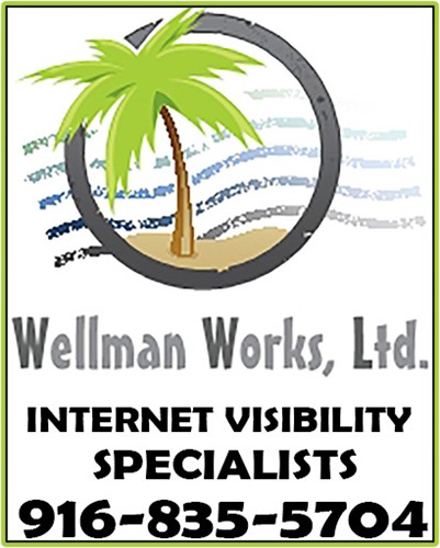 Wellman Works, Ltd. Internet Visibility Specialists