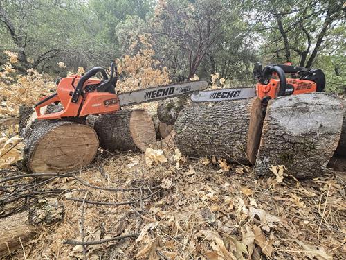 Gallery Image 1000010008.jpg Gallery Image 1000010008.jpg