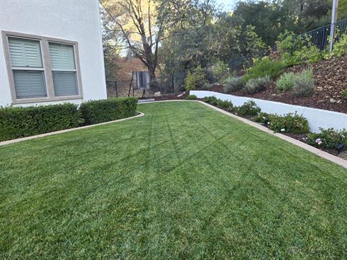 Gallery Image 1000010990.jpg Gallery Image 1000010990.jpg