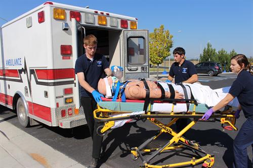 Gallery Image F3875A7E-E551-4EC2-9FC8-FB9E92158053.jpg Gallery Image F3875A7E-E551-4EC2-9FC8-FB9E92158053.jpg