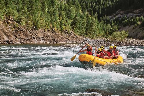 Explore Glacier's Border from the River