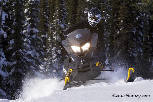 Winter is for Montana snowmobiling! We access 100s of miles of groomed trails on our snowmobile tours
