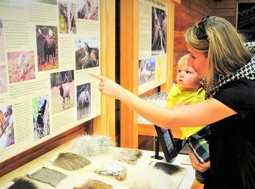 The Discovery Center's free geotourism learning center keeps kids of all ages entertained and is a great way to learn about the Glacier area