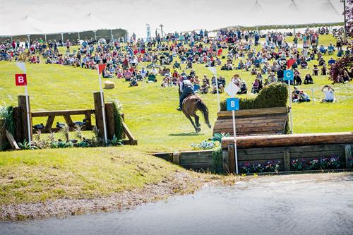 Gallery Image RF19brinkman7-27x4-9858.jpg Gallery Image RF19brinkman7-27x4-9858.jpg