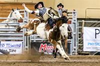 Brash Rodeo Winter Series