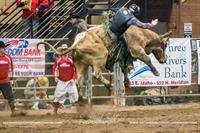 Brash Rodeo Winter Series