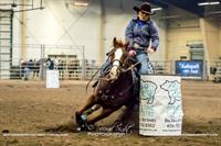 Brash Rodeo Winter Series