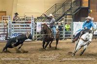 Brash Rodeo Winter Series