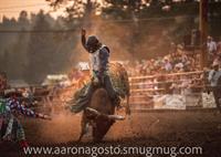 Blue Moon Bull Bash 2025