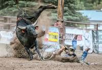 Brash Rodeo Winter Series