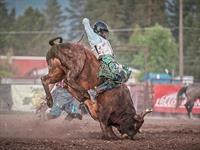 Brash Rodeo Summer Series 2026