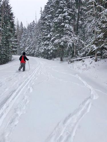 Gallery Image whitefish_outfitters-tours-10-768x1024.jpg