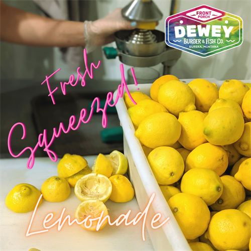 Fresh Queezed Lemonade, Every Day! 