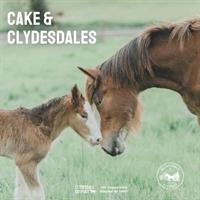 Cake & Clydesdales
