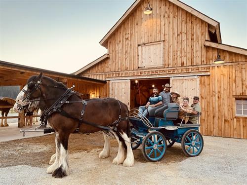 Carriage Ride at Clydesdale Outpost