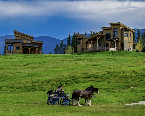 Clydesdale Carriage Ride at Clydesdale Outpost