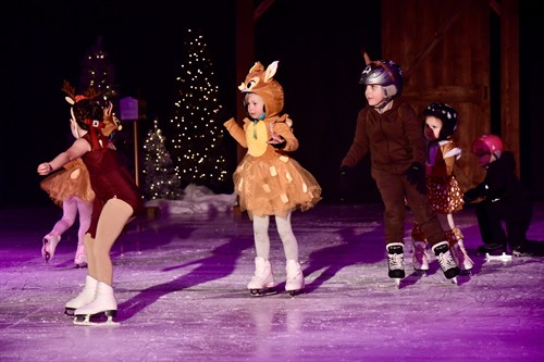 Learn To Skate join our show