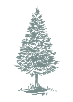 Nervous System Reset Retreat