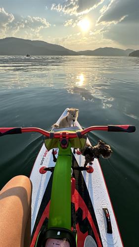 Pedal, paddle, or cruise, you choose. Get lake-life delivered with Montana Boarders. Pedal, paddle, or cruise, you choose. Get lake-life delivered with Montana Boarders.