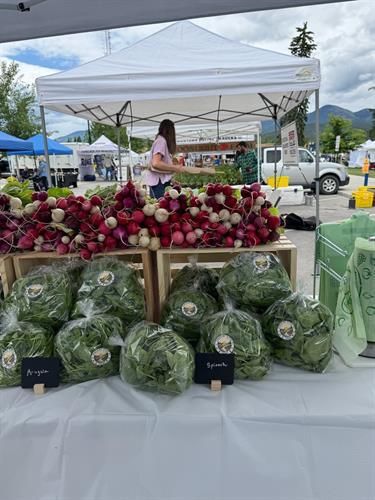 Gallery Image IMG_2925.jpeg