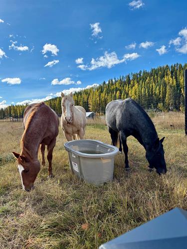 Gallery Image IMG_5269.JPG