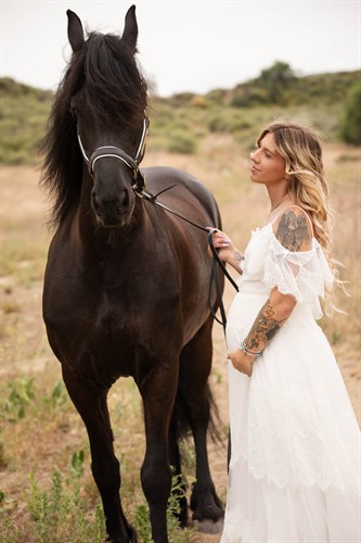 Glacier Wedding Horse
