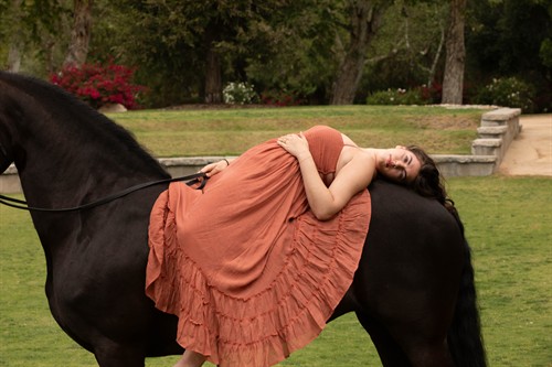 Whitefish Wedding Horse