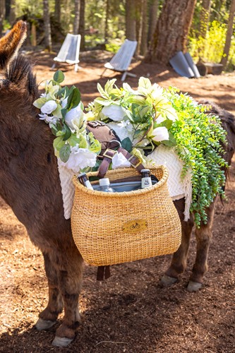 Whitefish Wedding