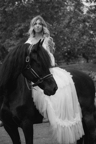 Glacier Wedding Horse