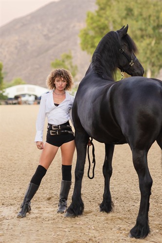 Montana Movie Horse