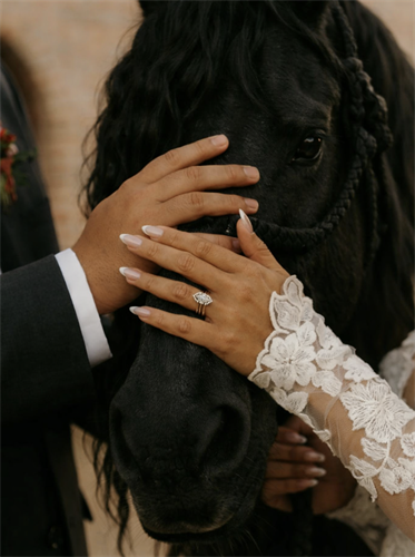 Flathead Wedding Horse