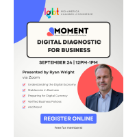 Virtual Digital Diagnostic for Business
