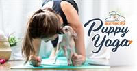 Puppy Yoga