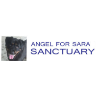 Estate Sale to benefit Angels For Sara Sanctuary