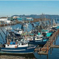 Discover Oregon Seafood Dock Tour