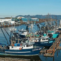 Discover Oregon Seafood Dock Tour