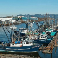 Discover Oregon Seafood Dock Tour