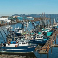 Discover Oregon Seafood Dock Tour