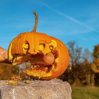 Smashing Pumpkinheads 2026