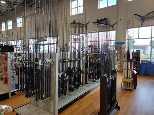 Wide variety of quality fishing rods to choose from. 