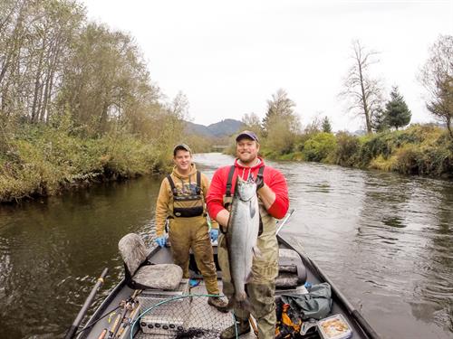 Fall Chinook fishing on the Wilson River in Tillamook